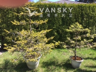 250501173016_image1 1.jpeg